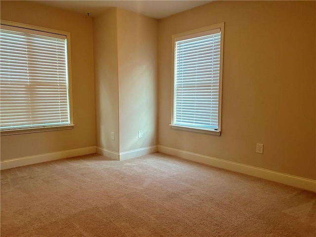 1016 Sand Palm Way, Anderson, SC 29621 - spare room with carpet and healthy amount of natural light