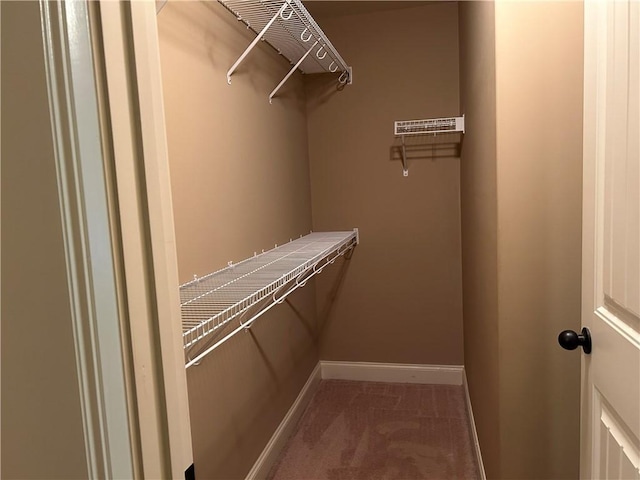 1016 Sand Palm Way, Anderson, SC 29621 - spacious closet featuring carpet flooring