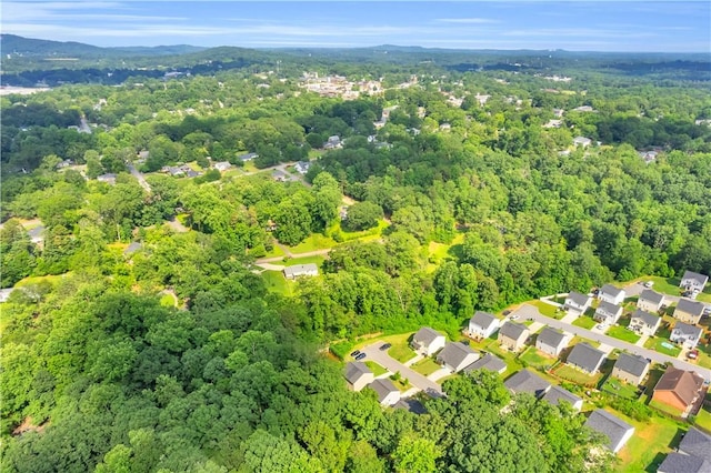117 Enchanted Walk, Pickens, SC 29671 - drone / aerial view of a forest