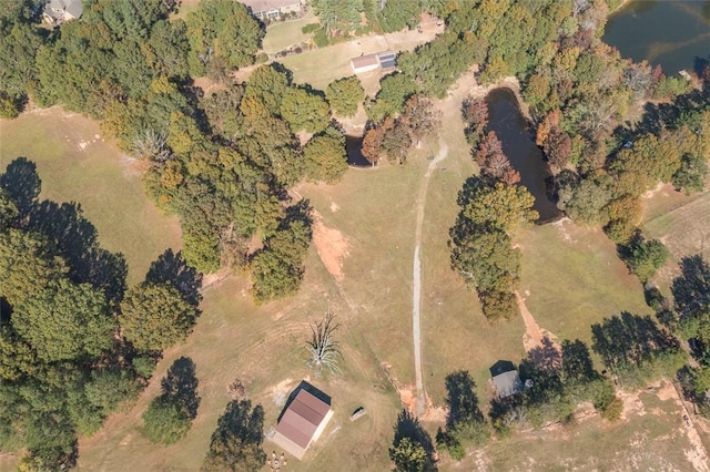193 Pineland Meadows Rd, Belton, SC 29627 - photo 34