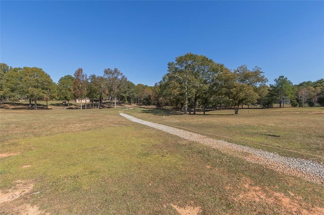 193 Pineland Meadows Rd, Belton, SC 29627 - photo 10
