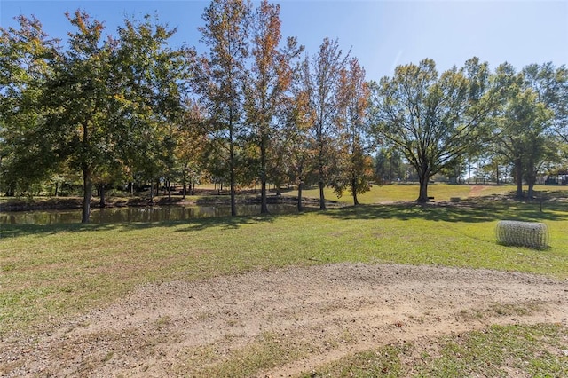 193 Pineland Meadows Rd, Belton, SC 29627 - photo 12