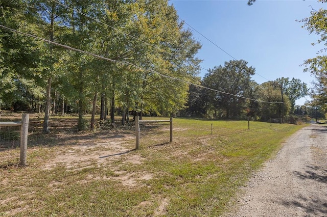 193 Pineland Meadows Rd, Belton, SC 29627 - photo 24