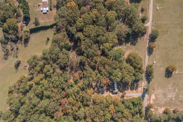 193 Pineland Meadows Rd, Belton, SC 29627 - photo 32