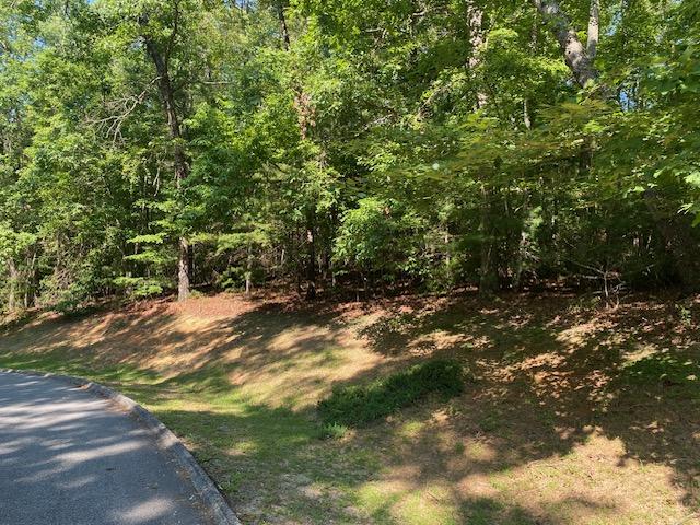 41 Turtle Head Dr, Salem, SC 29676 - photo 2