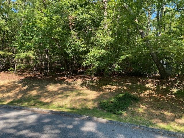 41 Turtle Head Dr, Salem, SC 29676 - photo 1