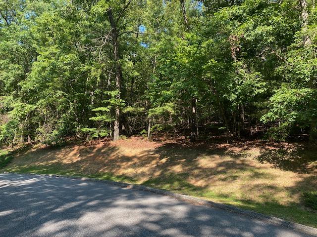 41 Turtle Head Dr, Salem, SC 29676 - photo 3