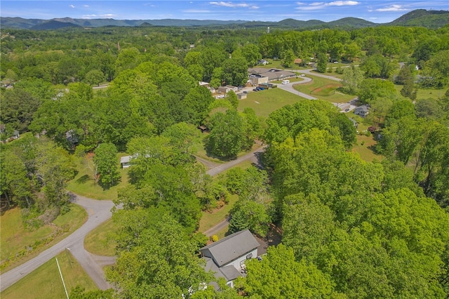 204 Garner Rd, Pickens, SC 29671 - photo 36