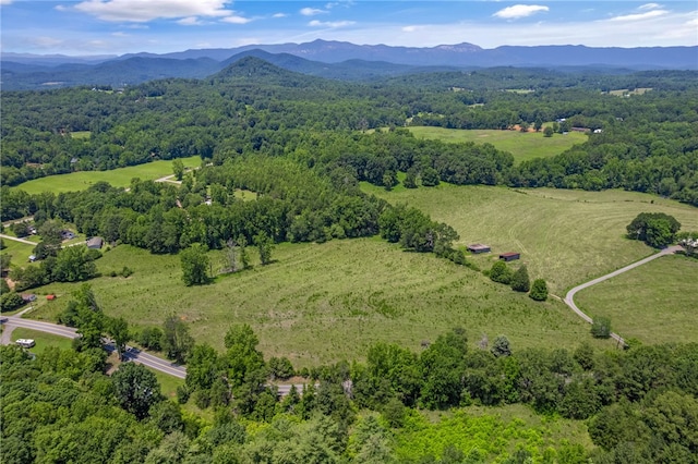 00 Mount Tabor Church Rd, Pickens, SC 29671 - photo 1