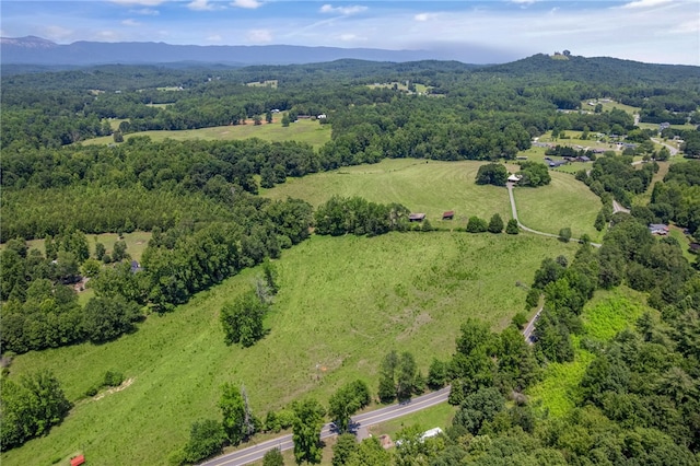 00 Mount Tabor Church Rd, Pickens, SC 29671 - photo 5