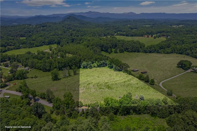 00 Mount Tabor Church Rd, Pickens, SC 29671 - photo 6