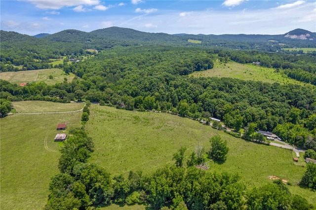00 Mount Tabor Church Rd, Pickens, SC 29671 - photo 12
