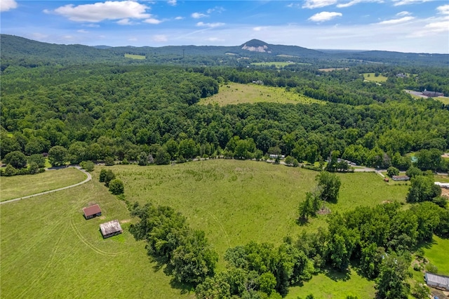 00 Mount Tabor Church Rd, Pickens, SC 29671 - photo 14