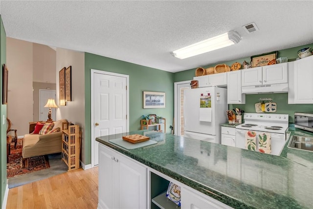 118 Grand Oak Cir, Pendleton, SC 29670 - kitchen featuring white appliances, under cabinet range hood, light wood-type flooring, white cabinets, and a textured ceiling