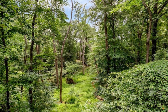 118 Grand Oak Cir, Pendleton, SC 29670 - view of wooded area