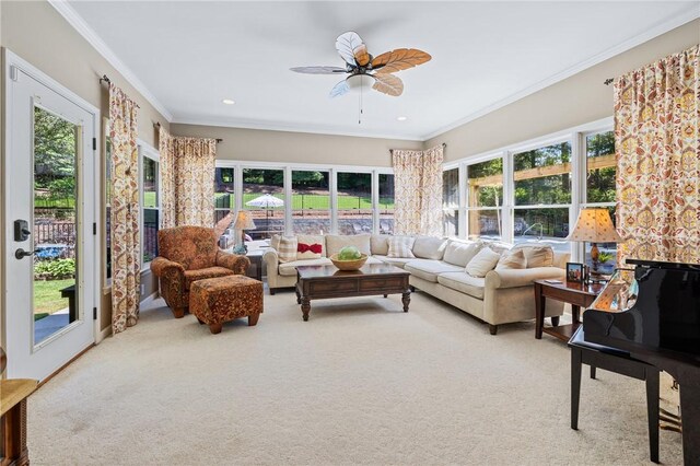 308 Amethyst Way, Seneca, SC 29672 - sunroom / solarium featuring ornamental molding, plenty of natural light, and carpet flooring