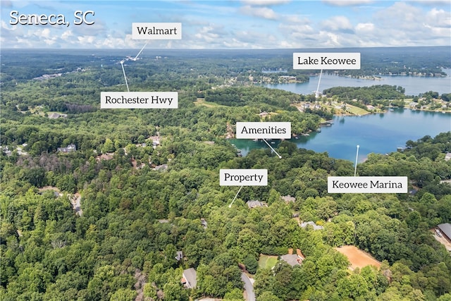301 N Summit Dr, Seneca, SC 29672 - photo 6
