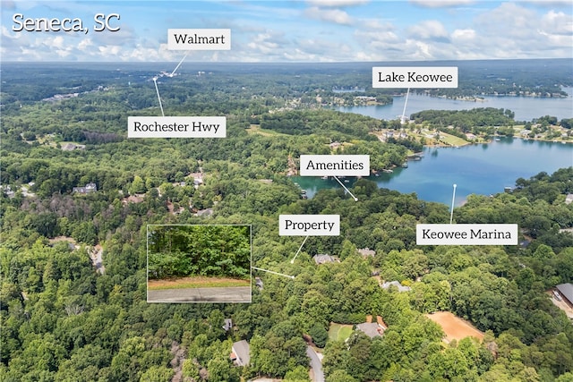 301 N Summit Dr, Seneca, SC 29672 - photo 7