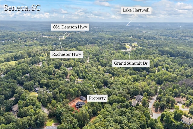301 N Summit Dr, Seneca, SC 29672 - photo 9