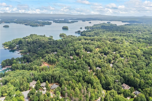 301 N Summit Dr, Seneca, SC 29672 - photo 10