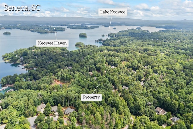 301 N Summit Dr, Seneca, SC 29672 - photo 11