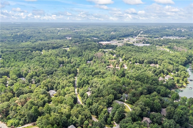301 N Summit Dr, Seneca, SC 29672 - photo 12