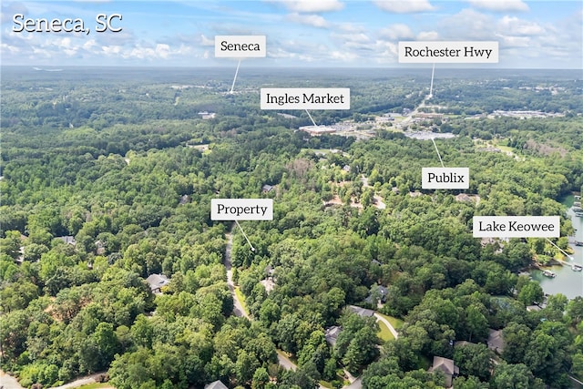 301 N Summit Dr, Seneca, SC 29672 - photo 13