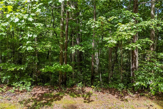 301 N Summit Dr, Seneca, SC 29672 - photo 20