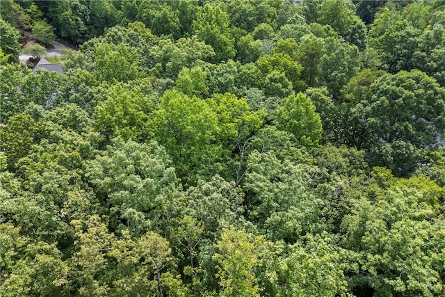 301 N Summit Dr, Seneca, SC 29672 - photo 25