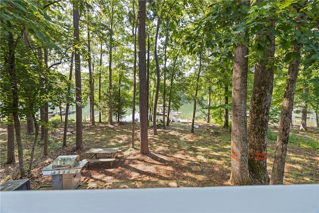 2 Nova St, Martin, GA 30557 - photo 43