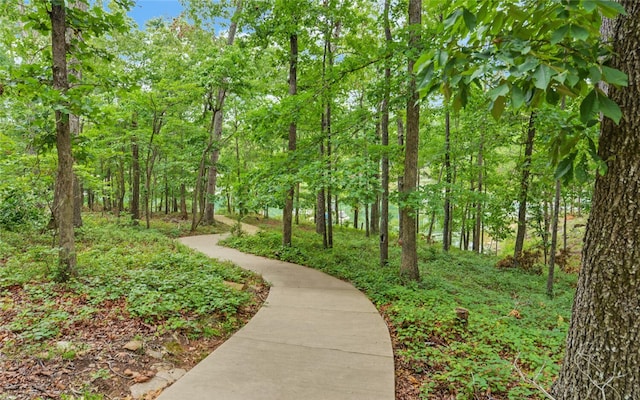 370 Paradise Point Rd, Hartwell, GA 30643 - photo 33