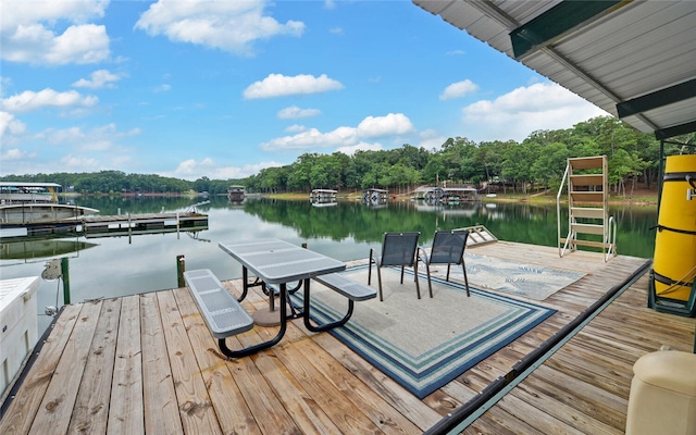 370 Paradise Point Rd, Hartwell, GA 30643 - photo 36