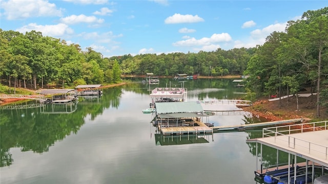 370 Paradise Point Rd, Hartwell, GA 30643 - photo 43