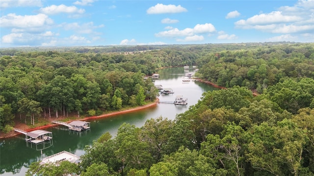 370 Paradise Point Rd, Hartwell, GA 30643 - photo 49
