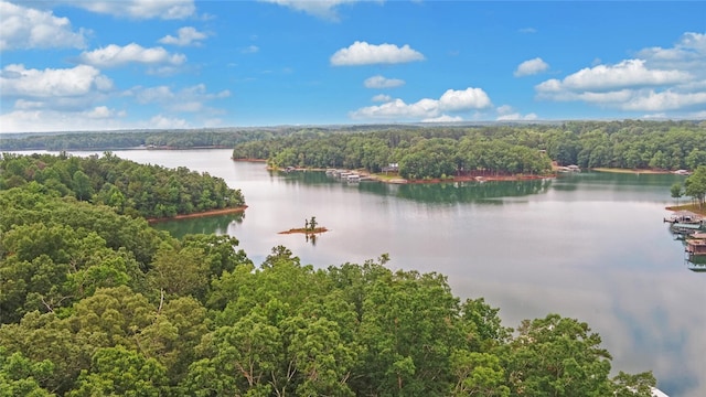 370 Paradise Point Rd, Hartwell, GA 30643 - photo 39