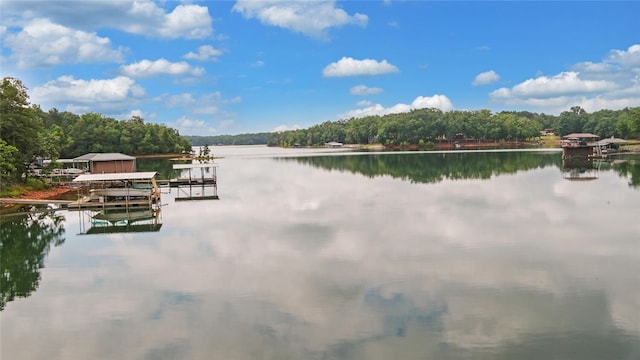 370 Paradise Point Rd, Hartwell, GA 30643 - photo 42