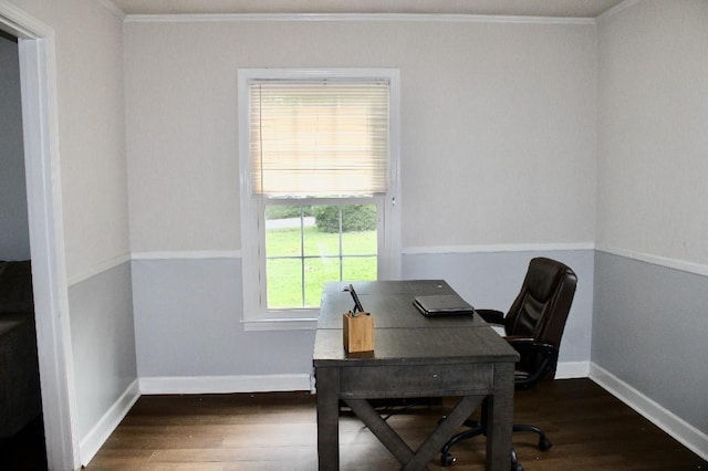 204 Payne Ln, Clemson, SC 29631 - office area with crown molding and wood finished floors