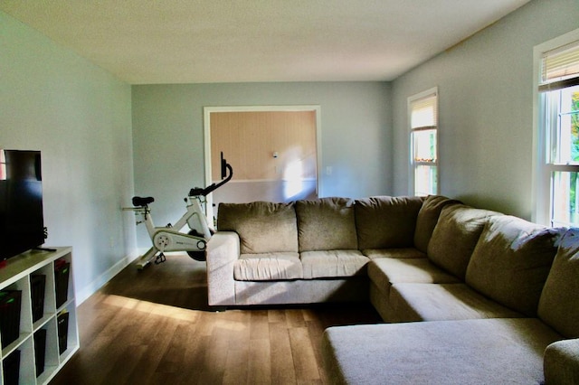 204 Payne Ln, Clemson, SC 29631 - living area with wood finished floors
