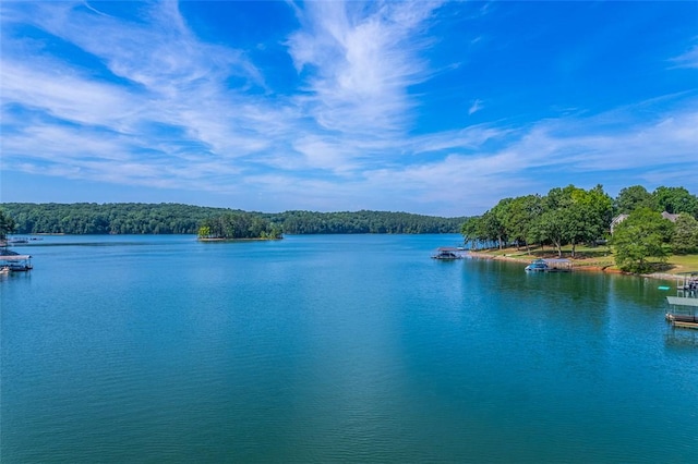 461 Overlook Dr, Fair Play, SC 29643 - photo 23