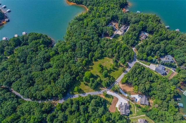 461 Overlook Dr, Fair Play, SC 29643 - photo 14