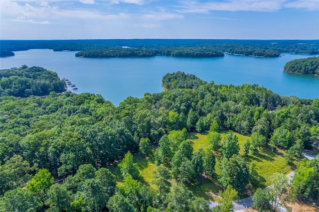 461 Overlook Dr, Fair Play, SC 29643 - photo 18