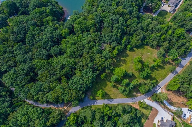 461 Overlook Dr, Fair Play, SC 29643 - photo 12