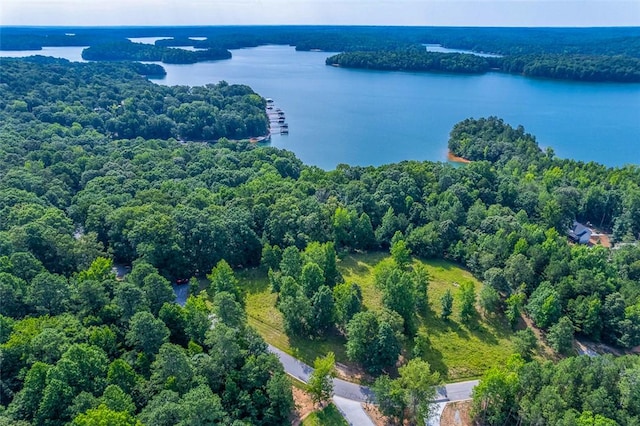 461 Overlook Dr, Fair Play, SC 29643 - photo 16