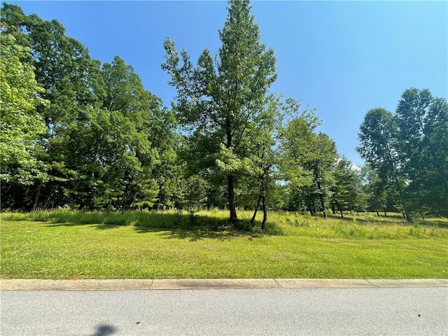 461 Overlook Dr, Fair Play, SC 29643 - photo 9