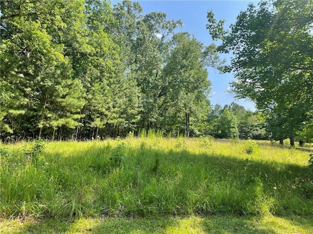 461 Overlook Dr, Fair Play, SC 29643 - photo 10
