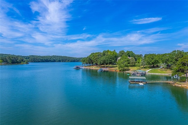 461 Overlook Dr, Fair Play, SC 29643 - photo 22