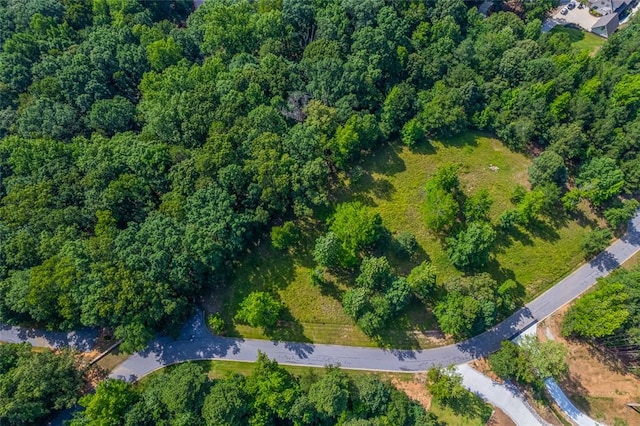 461 Overlook Dr, Fair Play, SC 29643 - photo 11