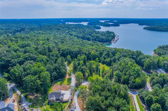 461 Overlook Dr, Fair Play, SC 29643 - photo 17