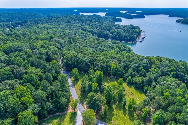 461 Overlook Dr, Fair Play, SC 29643 - photo 15