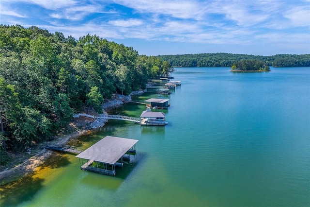 461 Overlook Dr, Fair Play, SC 29643 - photo 19